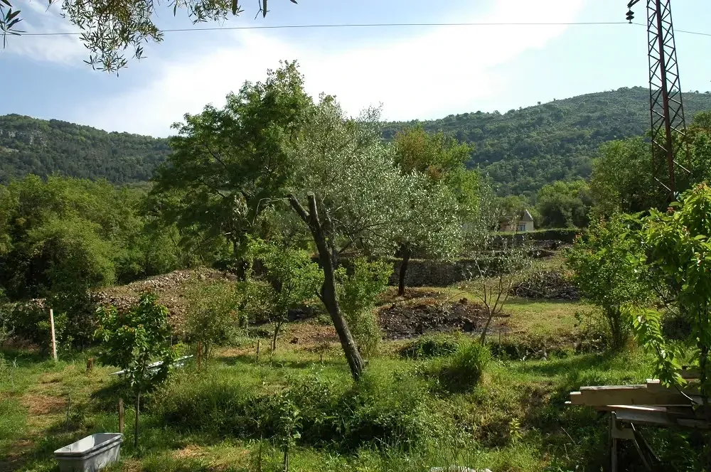 Prodaja, plac, 1554m², Kotor, Crna Gora