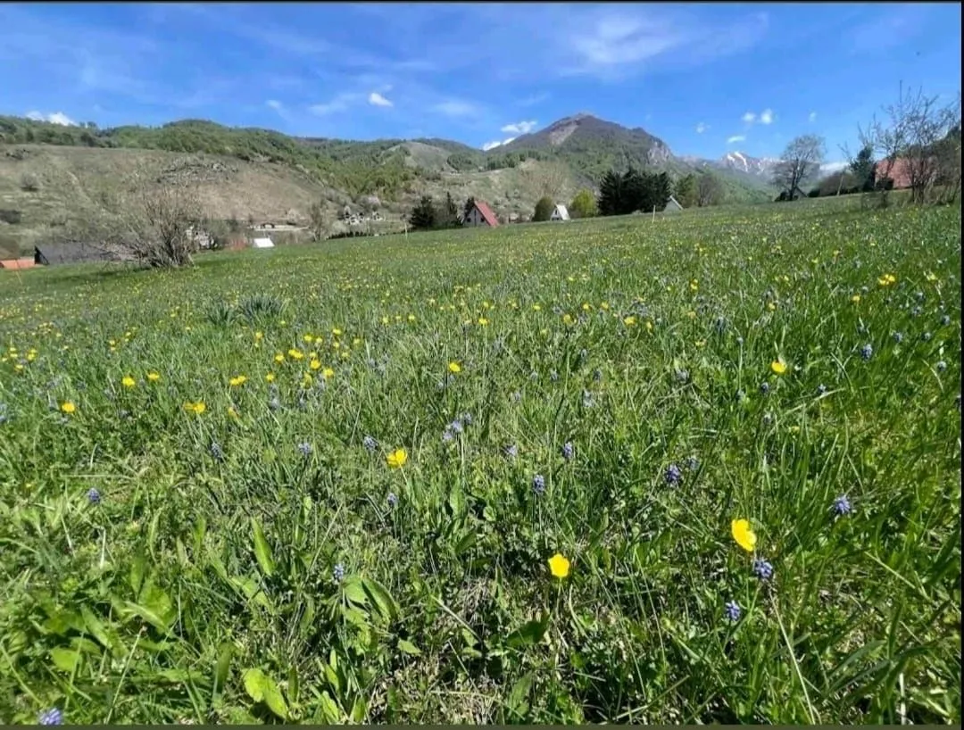 Prodaja, plac, 2093m², Veruša, Podgorica