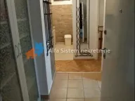 Izdavanje, stan, 60m², Botanička Bašta, Palilula Sve Podlokacije - image 6