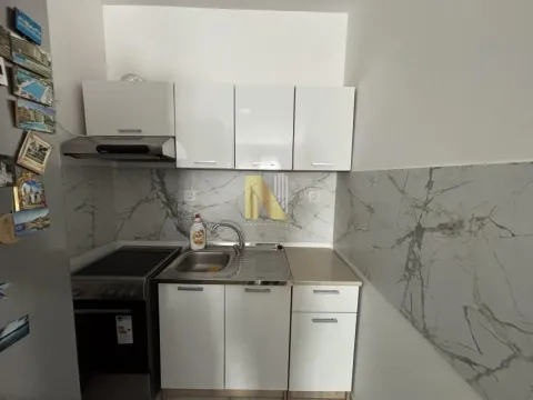 Izdavanje, jednosoban stan, 42m², Avijatičarsko naselje, Novi Sad Sve Podlokacije - image 3