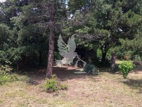 Prodaja, kuća, 66m², Koraćica, Mladenovac - image 10