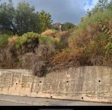 Betonski potporni zid i zelena površina na parceli. - image 6