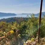 Sale, house, 40m², Herceg Novi, Crna Gora - image 2