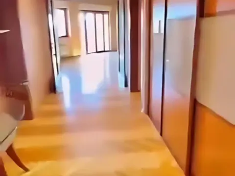 Prodaja, stan, 365m², Podgorica, Crna Gora - image 11