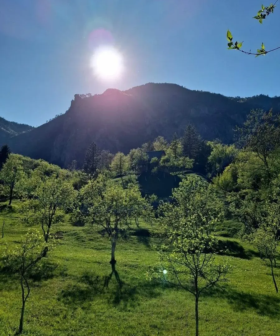Rent, house, 100m², Dobrilovina, Mojkovac