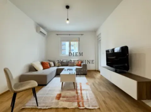 Izdavanje, jednosoban stan, 49m², Stari Aerodrom, Podgorica - image 6