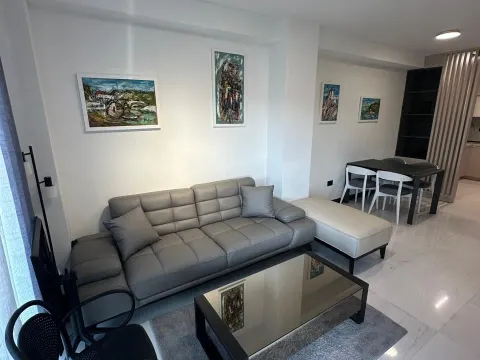 Sale, one bedroom apartment, 45m², Zagorič, Podgorica - image 9
