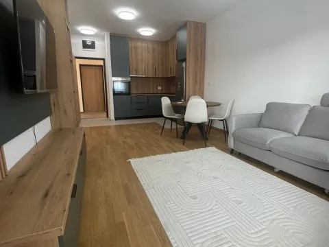 Izdavanje, jednosoban stan, 47m², Stari Aerodrom, Podgorica - image 3