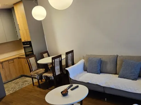 Rent, one bedroom apartment, 48m², Ljubović, Podgorica - image 11