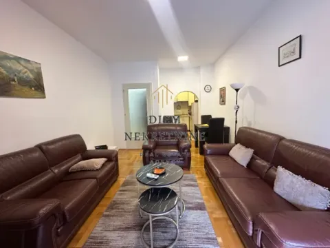 Izdavanje, jednosoban stan, 47m², Preko Morače, Podgorica - image 16