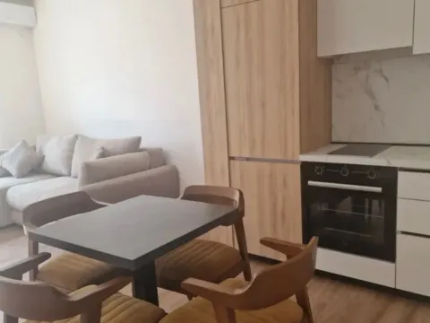 Izdavanje, garsonjera, 46m², Gradiošnica, Tivat - image 3