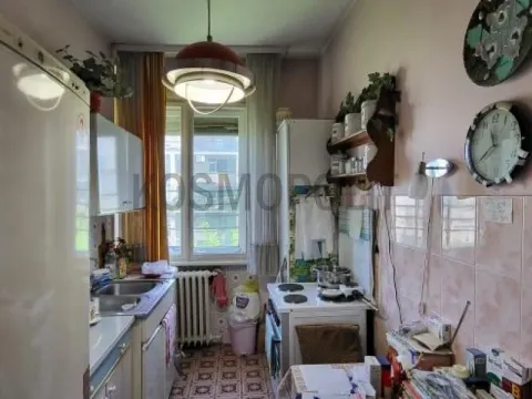 Sale, two bedroom apartment, 54m², Vračar Sve Podlokacije, Beograd - image 8