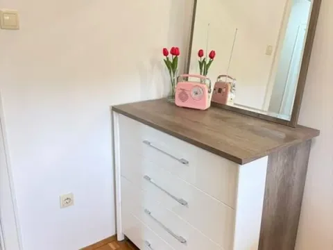 Izdavanje, dvosoban stan, 60m², Socijalno, Novi Sad Sve Podlokacije - image 10