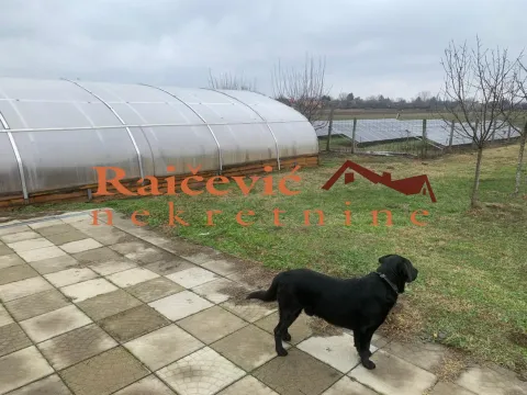 Prodaja, kuća, 197m², Bogojevo, Odžaci - image 15