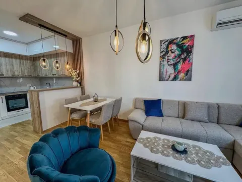 Rent, one bedroom apartment, 46m², Stari Aerodrom, Podgorica - image 4