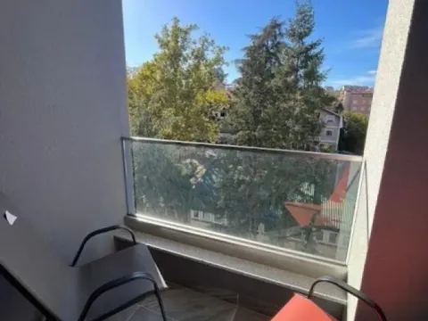 Izdavanje, dvosoban stan, 40m², Dušanovac, Voždovac Sve Podlokacije - image 7