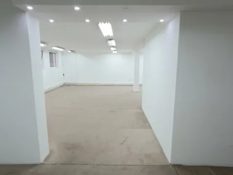 Izdavanje, poslovni prostor, 120m², Vračar Centar, Vračar Sve Podlokacije - image 10