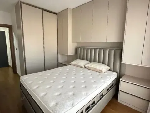 Rent, one bedroom apartment, 49m², Ljubović, Podgorica - image 5