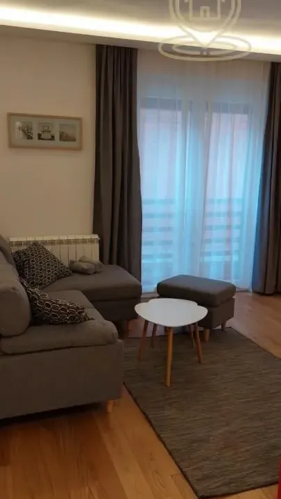 Izdavanje, dvosoban stan, 43m², Vračar Sve Podlokacije, Beograd