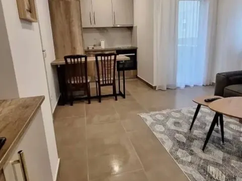 Rent, one bedroom apartment, 45m², Donja Gorica, Podgorica - image 3