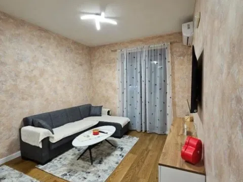 Izdavanje, jednosoban stan, 47m², Zabjelo, Podgorica - image 8