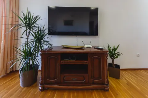 Drveni TV komoda sa televizorom na zidu i ukrasnim biljkama pored. - image 8