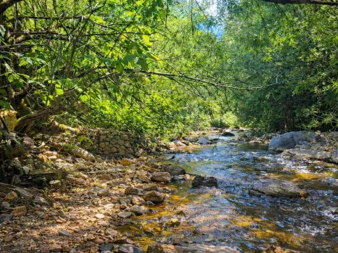 Prodaja, kuća, 20m², Centar, Kolašin - image 11