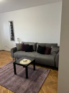 Dnevna soba sa sivim kaučem, crnim klub stolom i parketom. - image 3