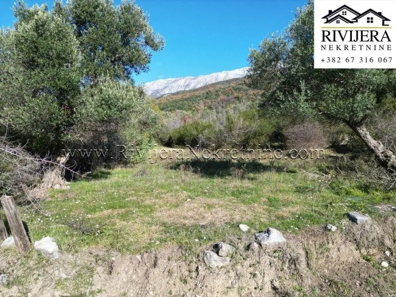 Prodaja, plac, 551m², Mojdež, Herceg Novi