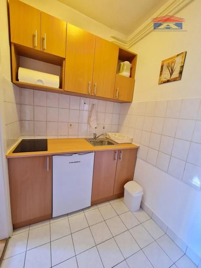 Manja kuhinja sa drvenim elementima i ugradnom pločom.