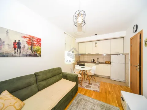 Izdavanje, jednosoban stan, 40m², Zabjelo, Podgorica - image 3