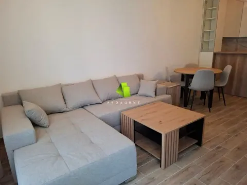 Rent, one bedroom apartment, 50m², Pantelej, Niš - image 2