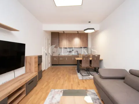 Rent, one bedroom apartment, 48m², Zabjelo, Podgorica - image 1
