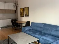 Izdavanje, jednosoban stan, 50m², Central Point, Podgorica - image 16