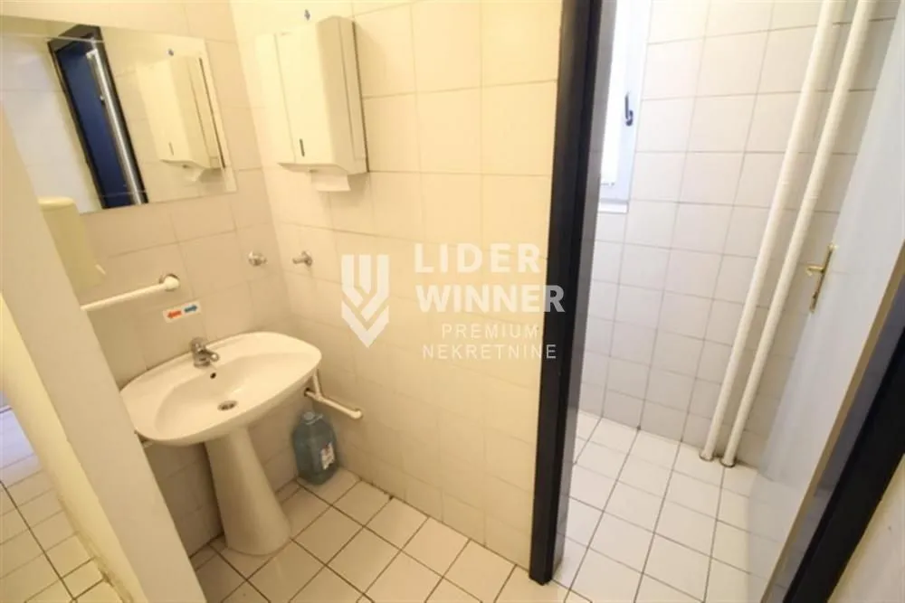 Izdavanje, poslovni prostor, 220m², Centar Sve Podlokacije, Beograd