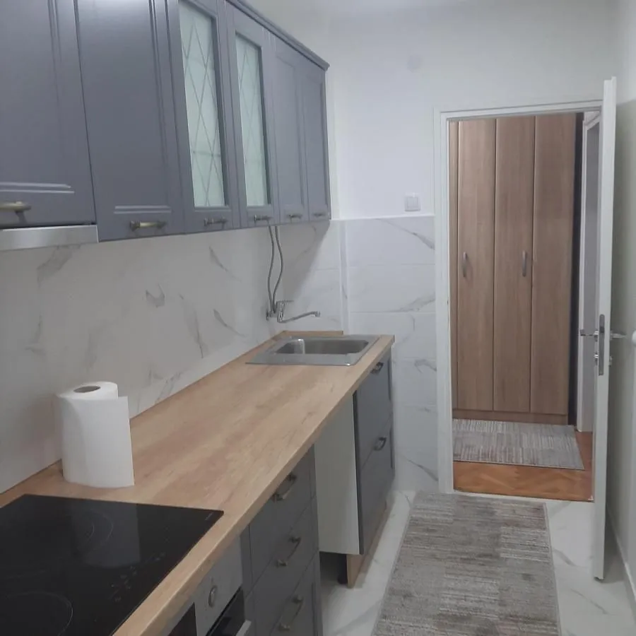 Izdavanje, dvosoban stan, 54m², Centar, Niš
