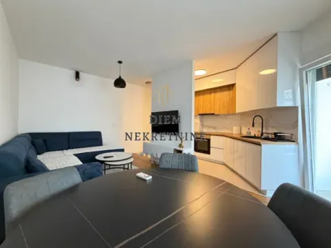 Rent, one bedroom apartment, 50m², Zagorič, Podgorica - image 3