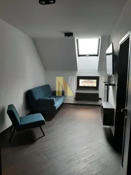 Dnevna soba sa plavom sofom i tamnim parketom pod krovnim prozorom. - image 7
