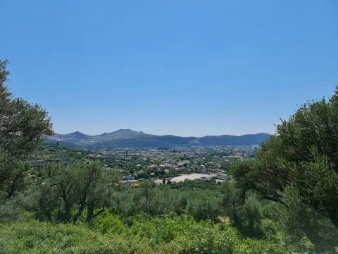 Sale, land lot, 10000m², Stari Bar, Bar - image 5