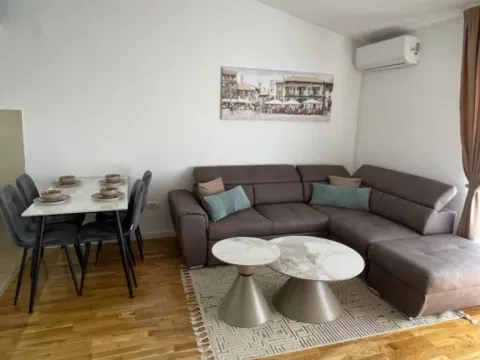 Izdavanje, jednosoban stan, 40m², Zabjelo, Podgorica - image 9