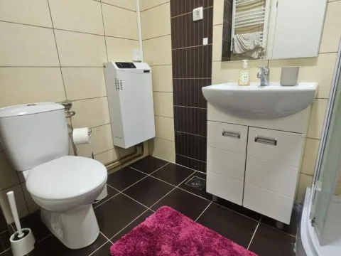 Izdavanje, dvosoban stan, 55m², Đeram Pijaca, Beograd - image 14