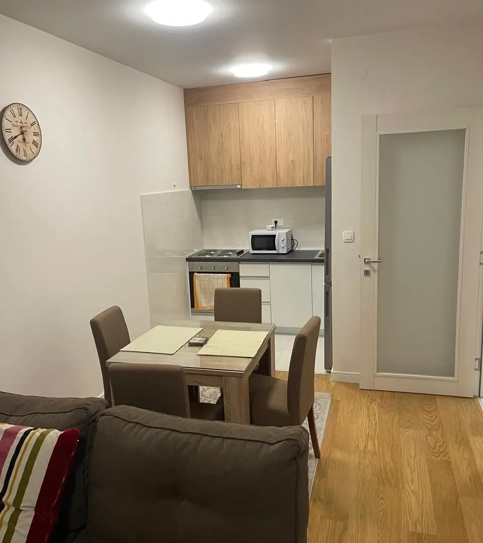 Rent, one bedroom apartment, 47m², Central Point, Podgorica