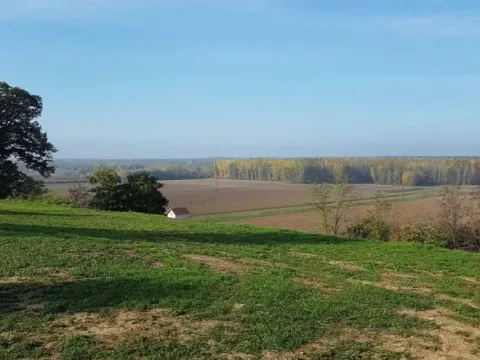 Prodaja, plac, 2400m², Rakovac, Novi Sad Sve Podlokacije - image 12