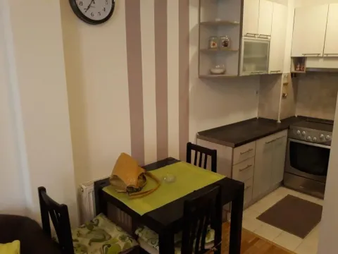 Rent, one bedroom apartment, 42m², Bulevar Oslobodjenja, Novi Sad Sve Podlokacije - image 4