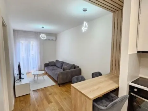 Izdavanje, jednosoban stan, 43m², Central Point, Podgorica - image 11