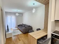 Izdavanje, jednosoban stan, 43m², Central Point, Podgorica - image 11