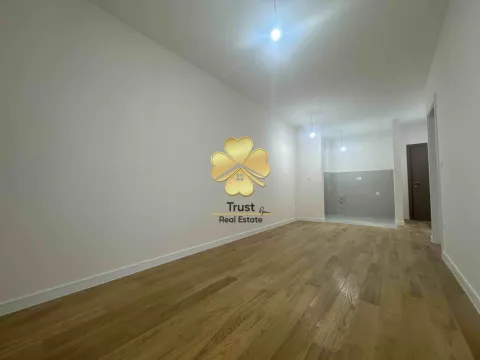 Izdavanje, jednosoban stan, 40m², Central Point, Podgorica