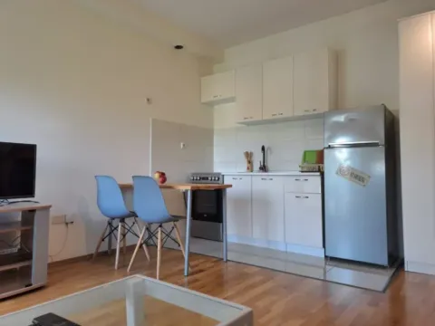 Izdavanje, garsonjera, 25m², Zabjelo, Podgorica - image 9