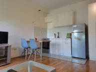 Rent, studio apartment, 25m², Zabjelo, Podgorica - image 9