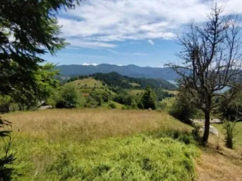 Sale, land lot, 500m², Tara, Srbija - image 3